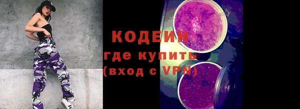 ешки Пересвет