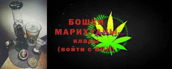 spice Дубна