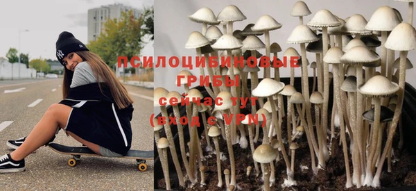 ешки Пересвет