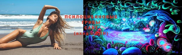 ешки Пересвет