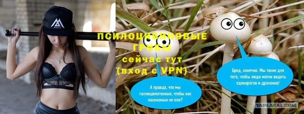 спиды Болхов