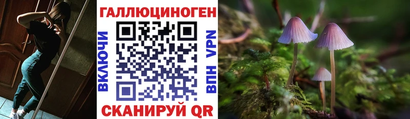 OMG онион  Стрежевой  Псилоцибиновые грибы Cubensis 