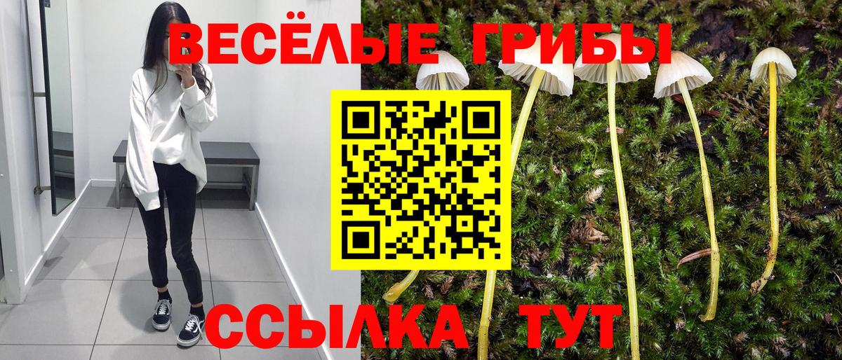 Псилоцибиновые грибы мухоморы Стрежевой